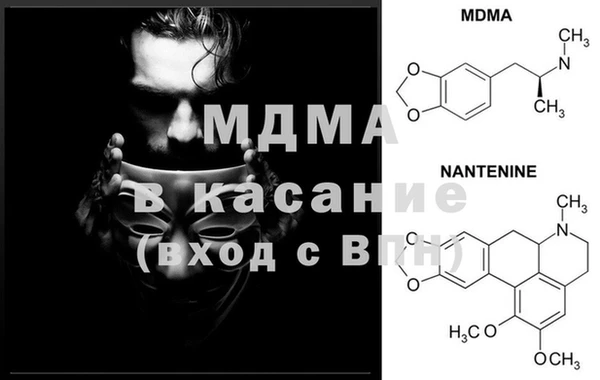 шишки Белоозёрский